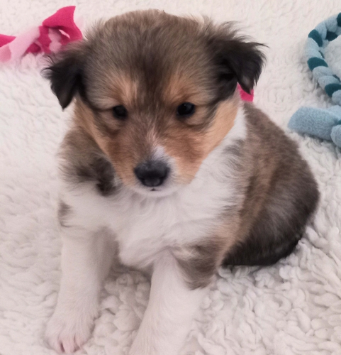 500 Belle Marie Louise 20260419 135523 KatrinHepp R