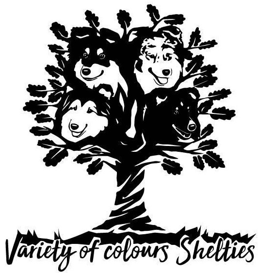 nachbar variety of colours logo